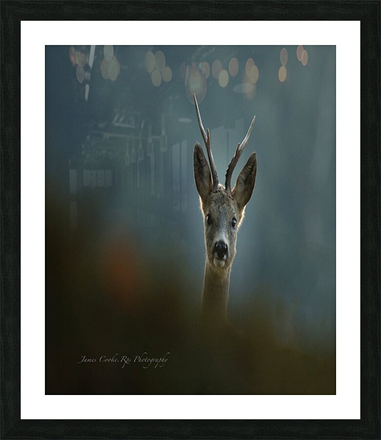 jpt 55532.J Picture Frame print