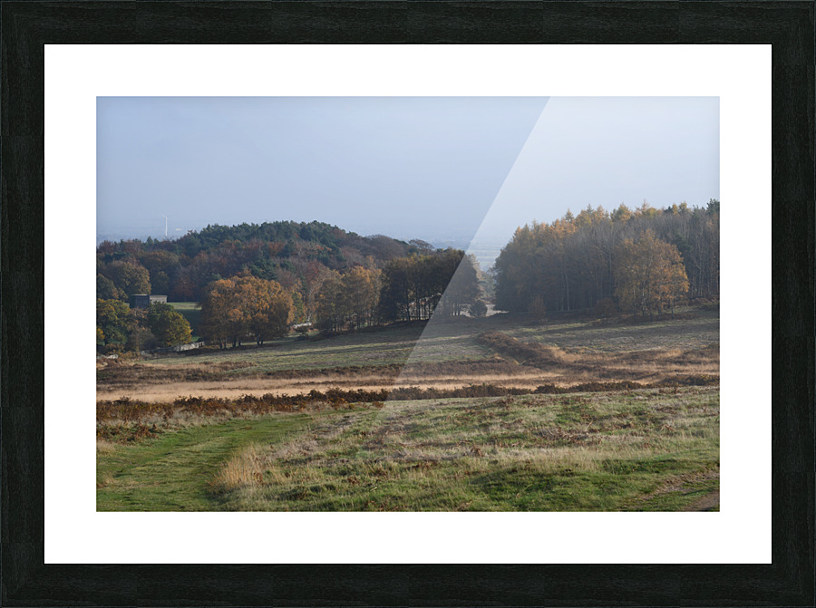 JPT 1553 Picture Frame print