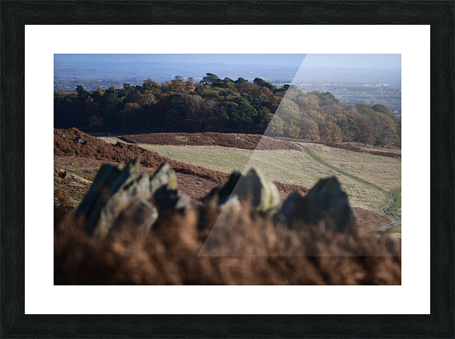 JPT 1606 Picture Frame print