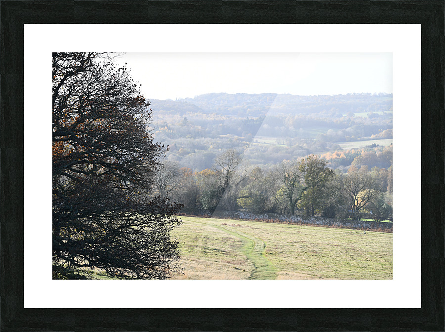 JPT 1596 Picture Frame print