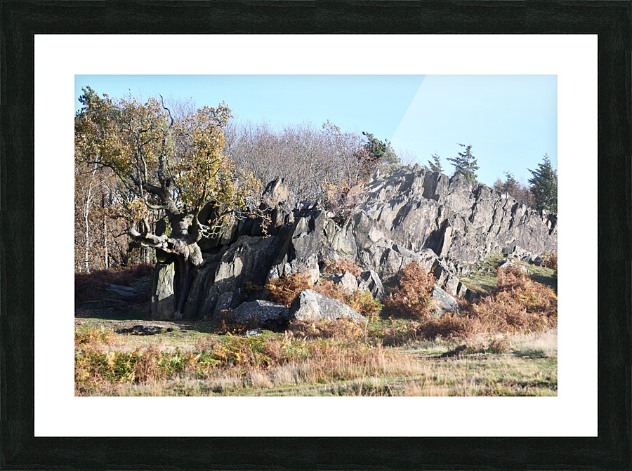 JPT 1622 Picture Frame print