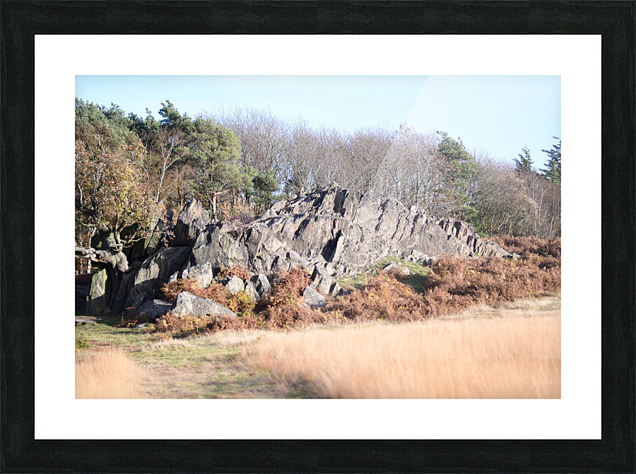JPT 1635 Picture Frame print