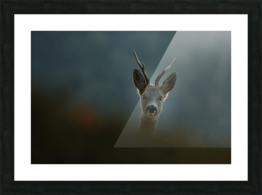 jpt 55532 Picture Frame print