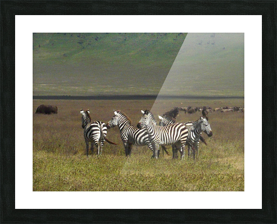 JPTCM 31 Picture Frame print