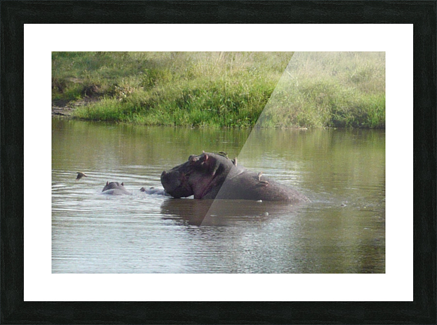 JPTCM 17 Picture Frame print