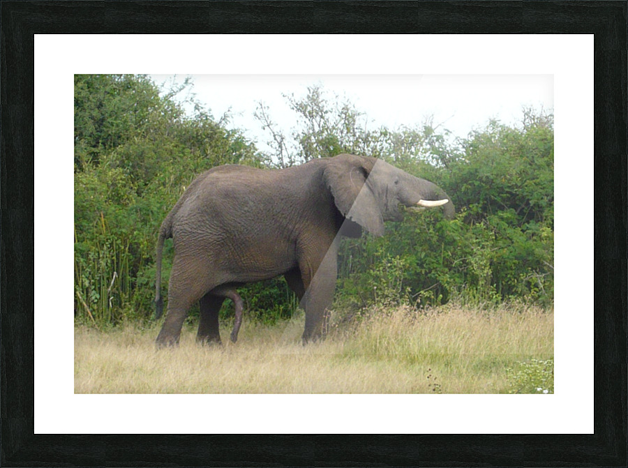 JPTCM 24 Picture Frame print