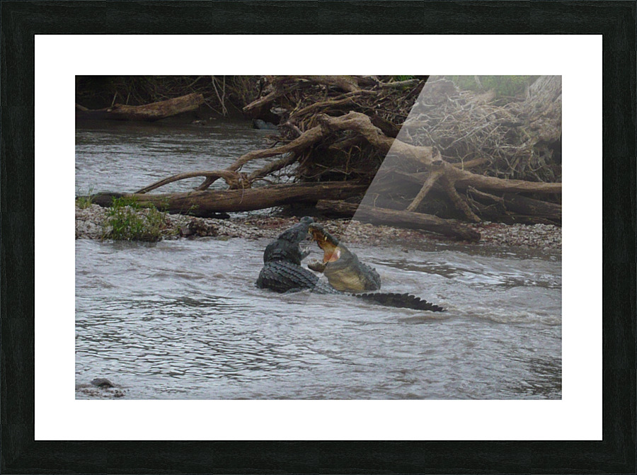 JPTMC  21 Picture Frame print