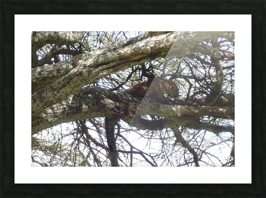 JPTCM 15 Picture Frame print