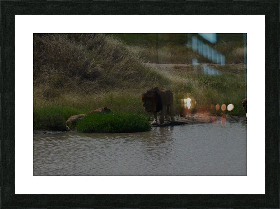 JPTCM 11 Picture Frame print