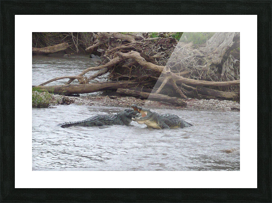 JPTCM 18 Picture Frame print