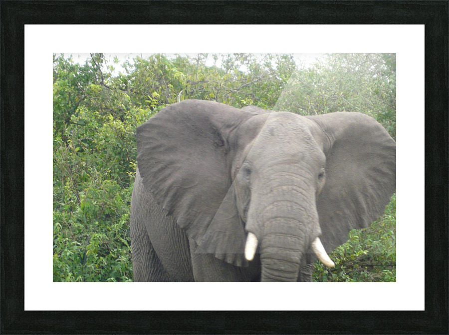 JPTCM 26 Picture Frame print
