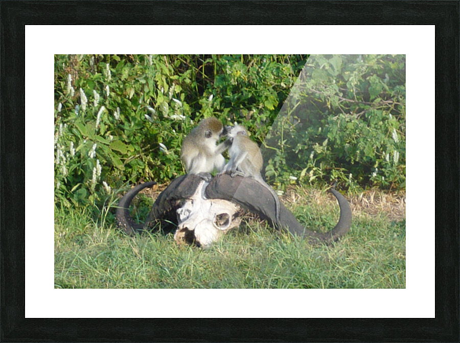 JPTCM 6 Picture Frame print