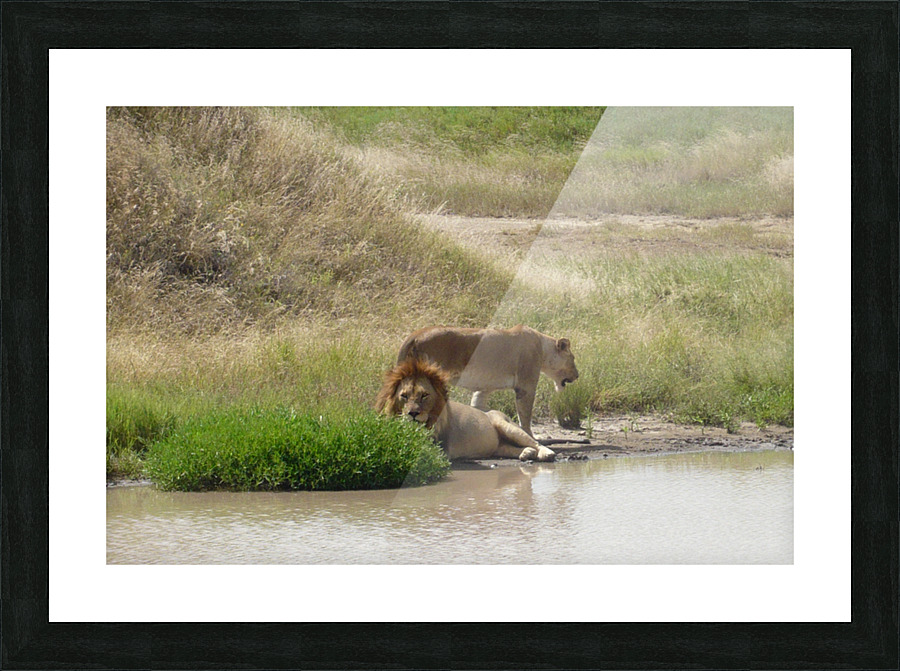 JPTCM 13 Picture Frame print