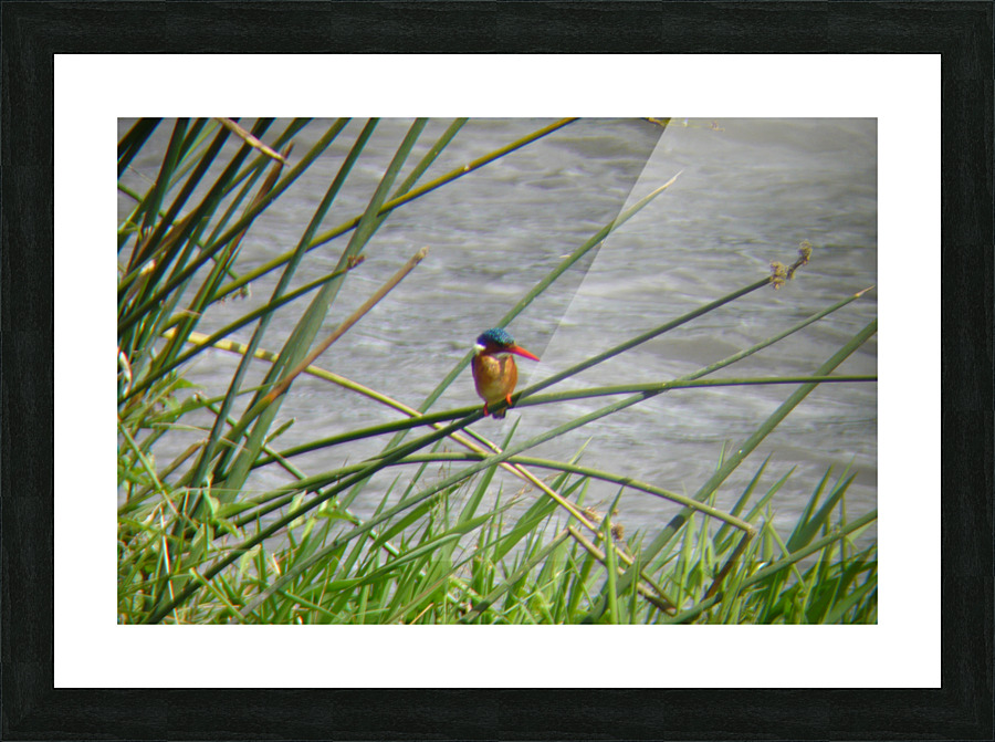 JPT MC 1  Picture Frame print