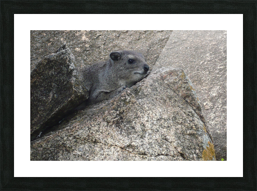 JPTCM 16 Picture Frame print