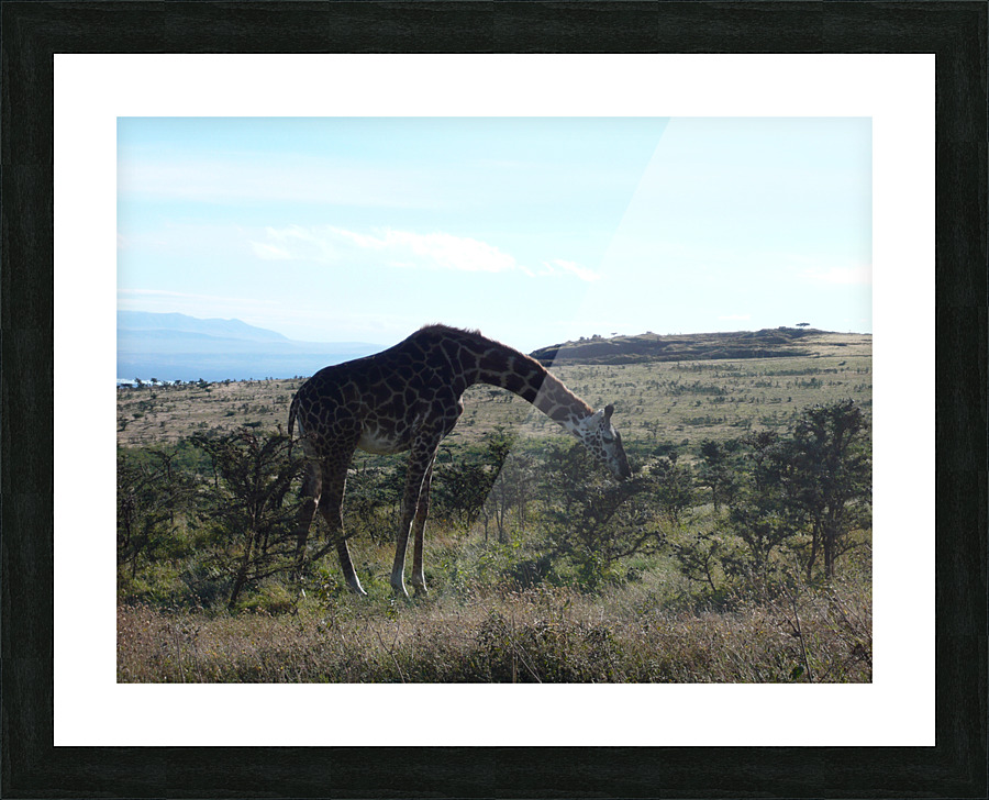 JPTCM 8 Picture Frame print