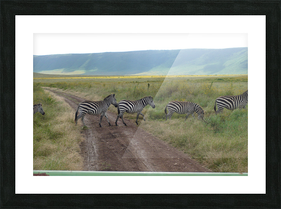 JPTCM 4 Picture Frame print