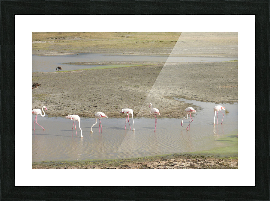 JPTCM 5 Picture Frame print