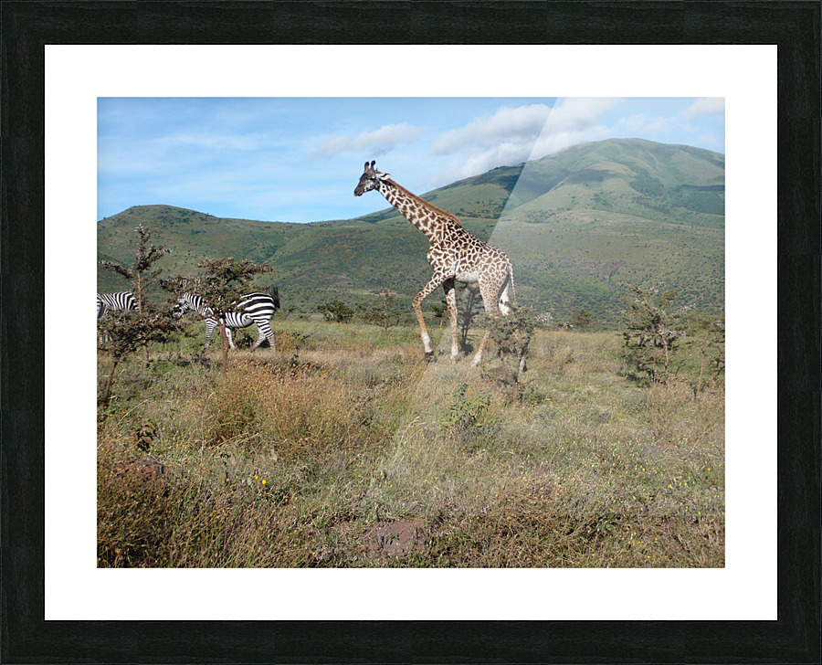 JPTCM 7 Picture Frame print