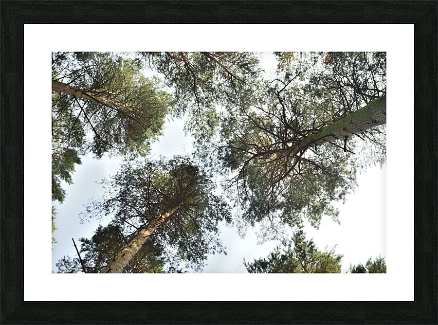 JPT 8657 Picture Frame print