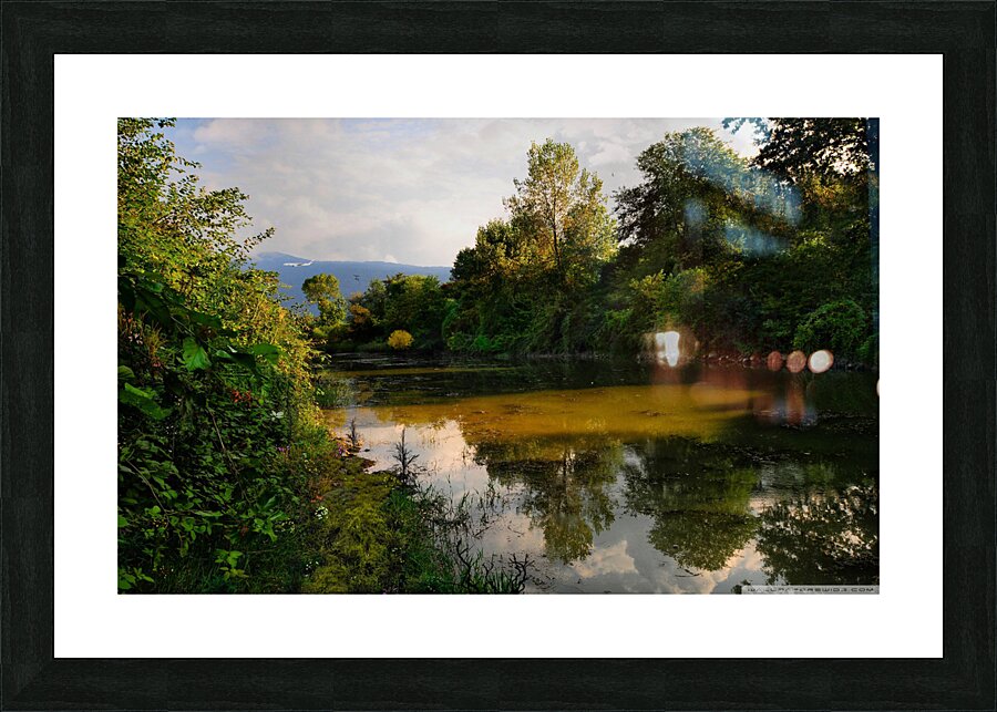 JPT 16 Picture Frame print