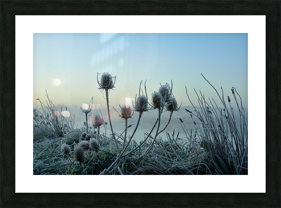 JPT 9430 Picture Frame print
