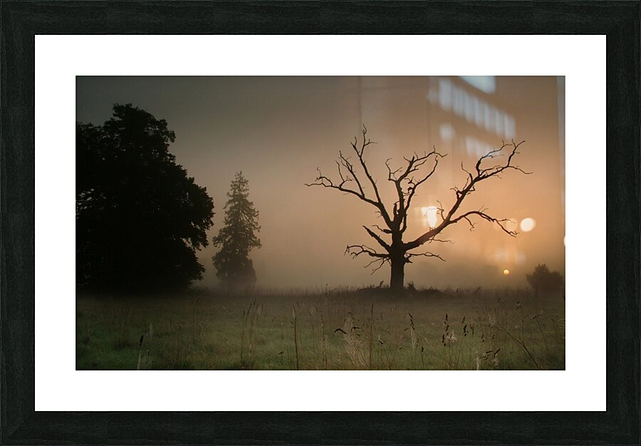 JPT00024 Picture Frame print