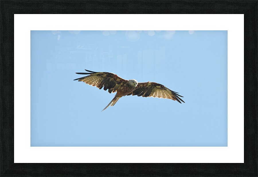 JPT 997L Picture Frame print