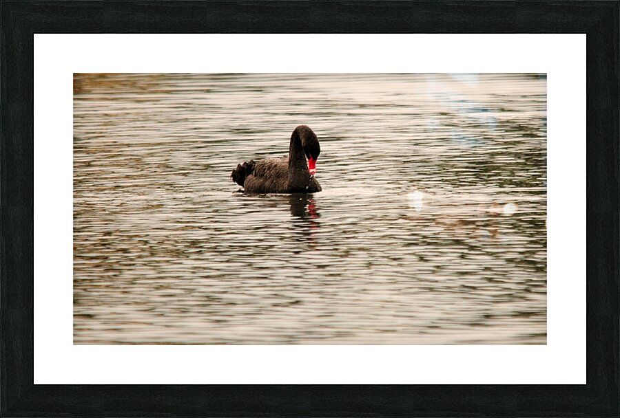 JPT 7323 Picture Frame print