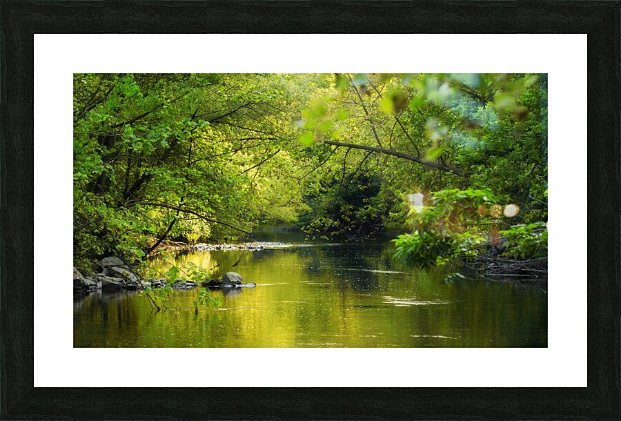 JPT 719 RT1 Picture Frame print