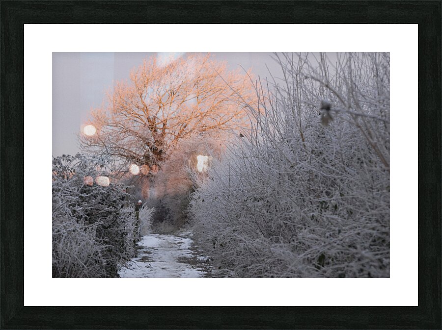 JPT 991S Picture Frame print