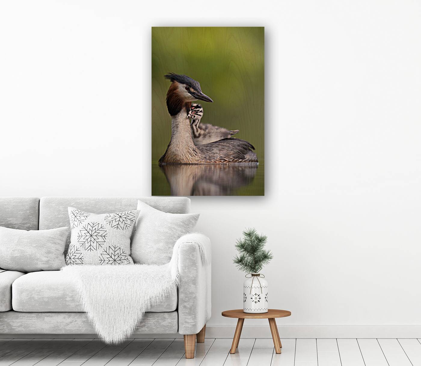 Great crested grebe Reproduction