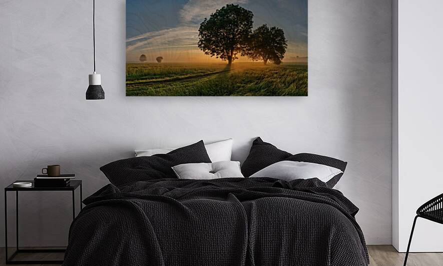 trees 321 Reproduction