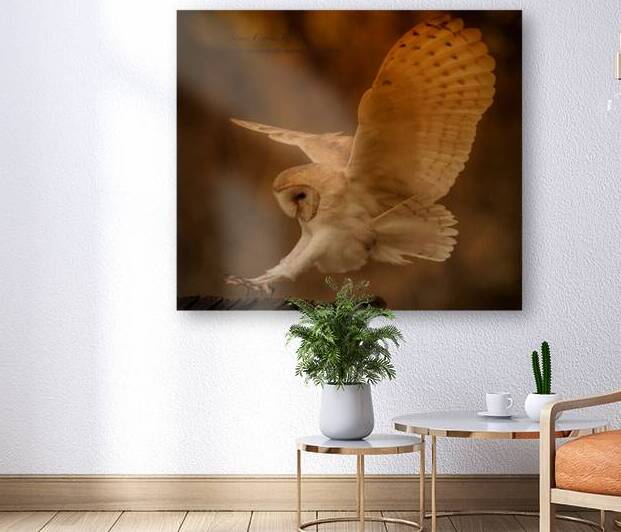JPT 793OWL 5 Reproduction