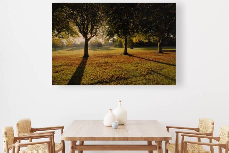Hall park Reproduction