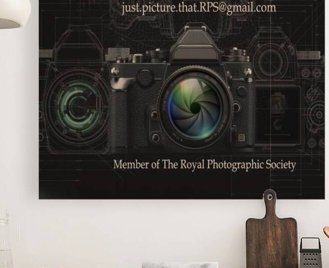  JPT INFO 8 Reproduction