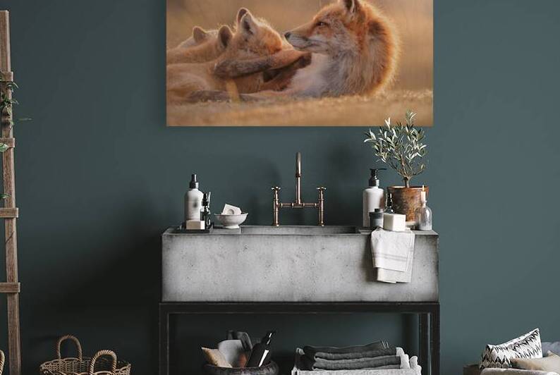 FOXY 1 by James Cooke
