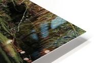JPT 887F 2 HD Metal print