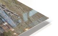 JPT 674BN HD Metal print
