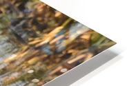 JPT 6652D HD Metal print