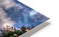 ttfe trees8 HD Metal print