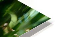 JPT close up HD Metal print