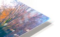 JPT 1750 HD Metal print