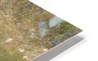 JPTCM 14 HD Metal print