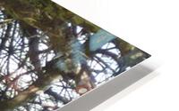 JPTCM 15 HD Metal print