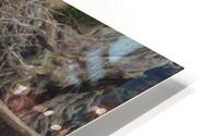 JPTCM 18 HD Metal print