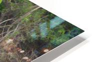 JPTCM 22 HD Metal print