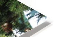 JPT 7530 HD Metal print