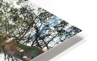 JPT 8657 HD Metal print