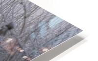 JPT 991S HD Metal print